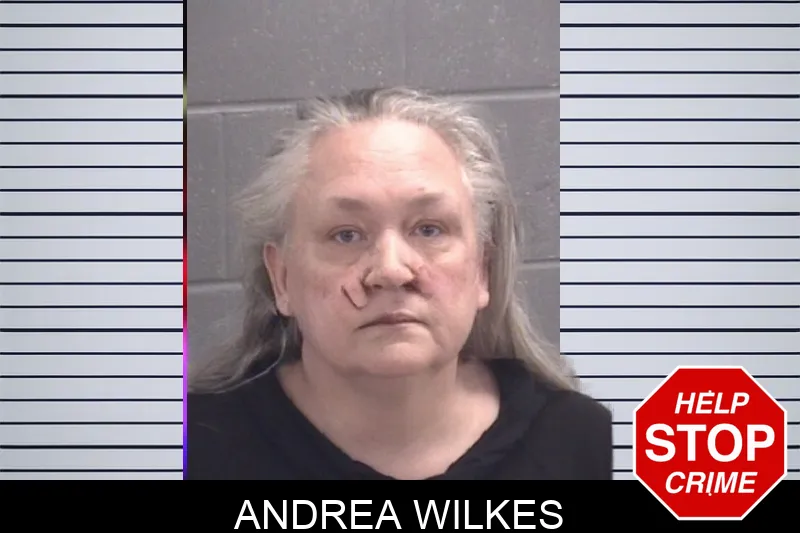 Andrea Wilkes Mugshots