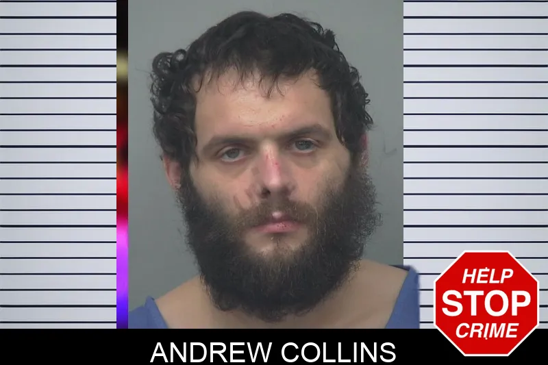 Andrew Collins mugshot