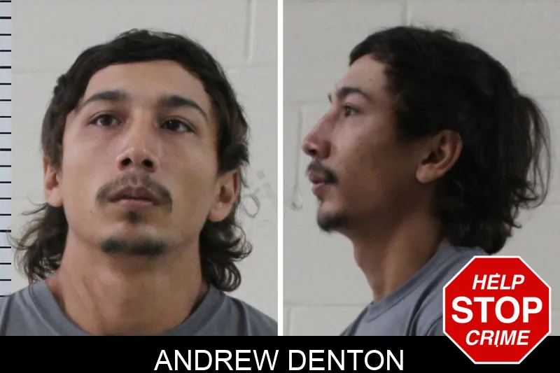 Andrew Denton mugshot