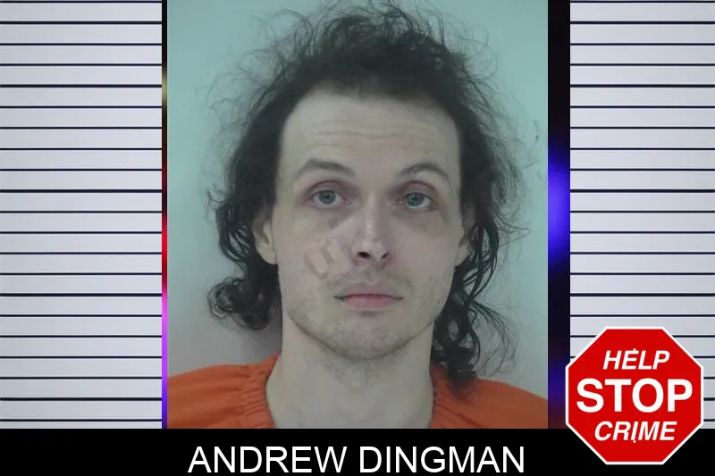Andrew Dingman Mugshots