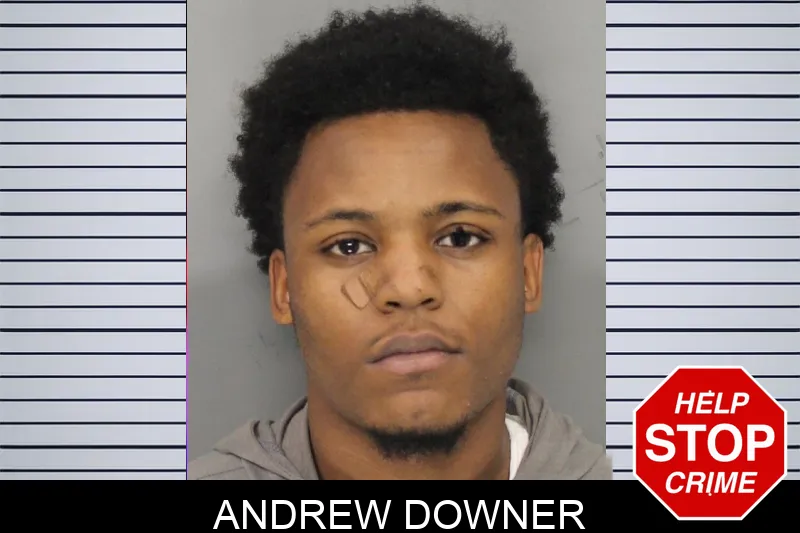 Andrew Downer mugshot