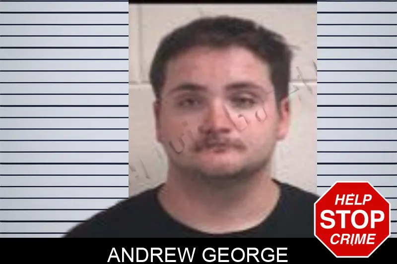 Andrew George Mugshots