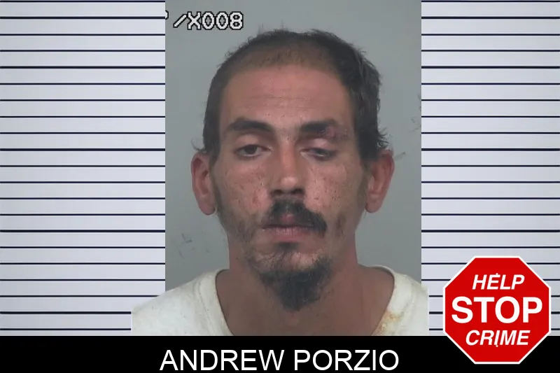 Andrew Porzio mugshot – Gwinnett County , Georgia Andrew Porzio mugshot