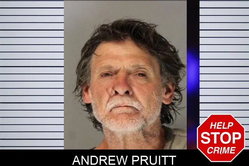 Andrew Pruitt mugshot – Hall County , Georgia Andrew Pruitt mugshot
