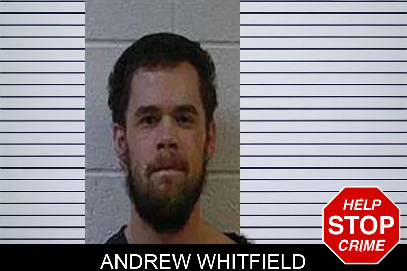 Andrew Whitfield