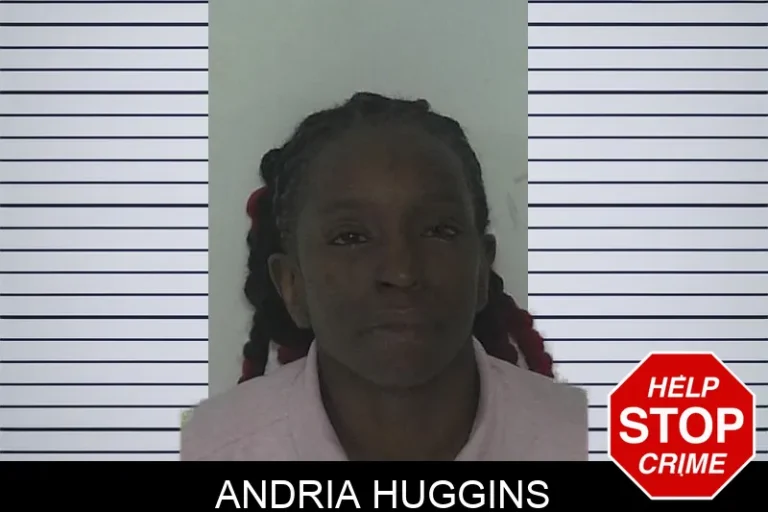 Andria Huggins mugshot – Fayette County , Georgia Andria Huggins
