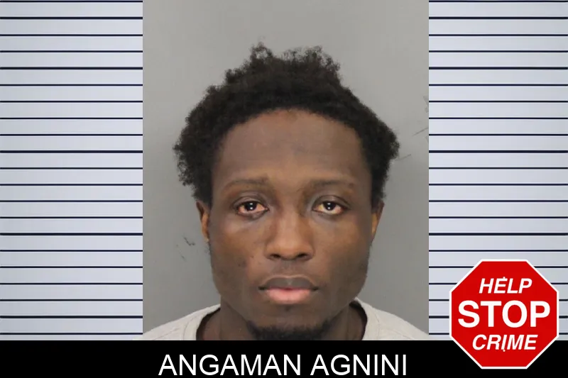 Angaman Agnini mugshot