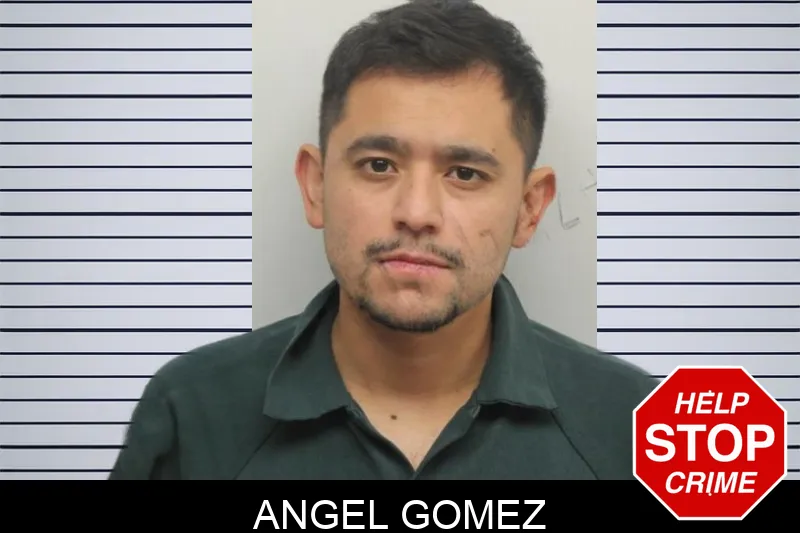 Angel Gomez mugshot – Chatham County , Georgia Angel Gomez mugshot