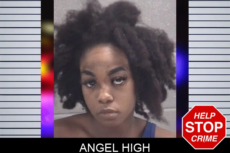 Angel High Mugshots