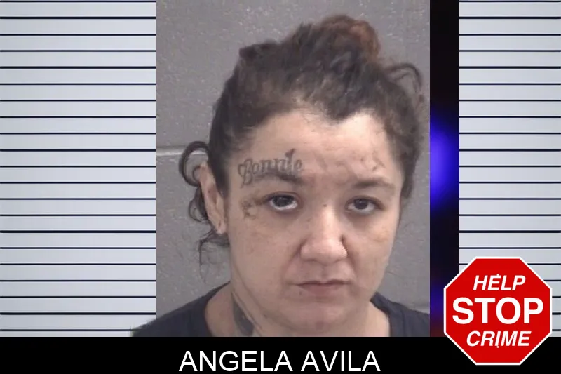 Angela Avila mugshot
