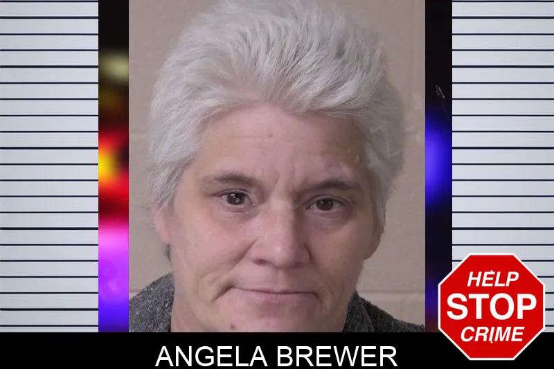 Angela Brewer mugshot