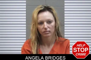 Angela Bridges mugshot