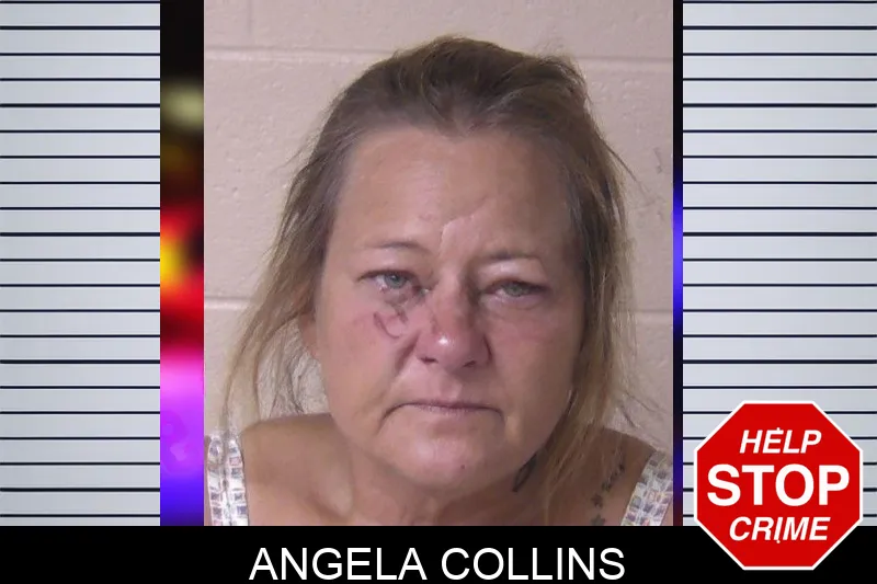 Angela Collins Mugshots