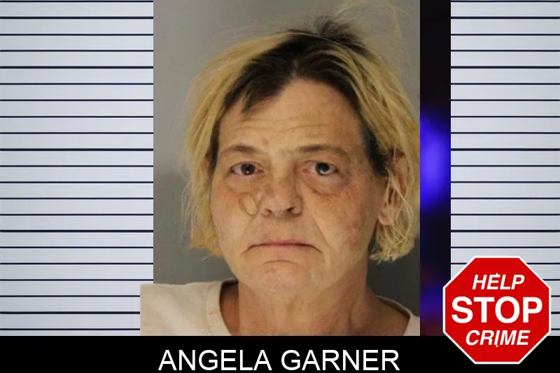 Angela Garner mugshot – Hall County , Georgia Angela Garner mugshot