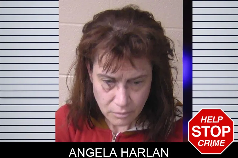 Angela Harlan Mugshots