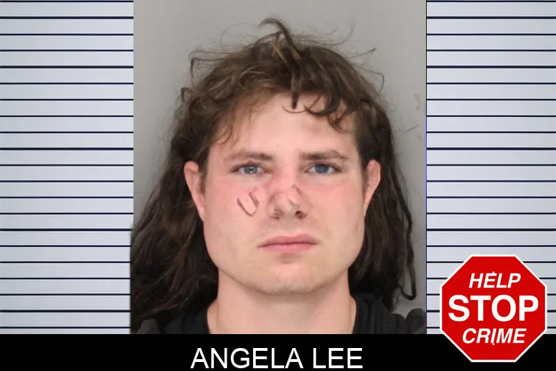 Angela Lee mugshot – Cobb County , Georgia Angela Lee mugshot