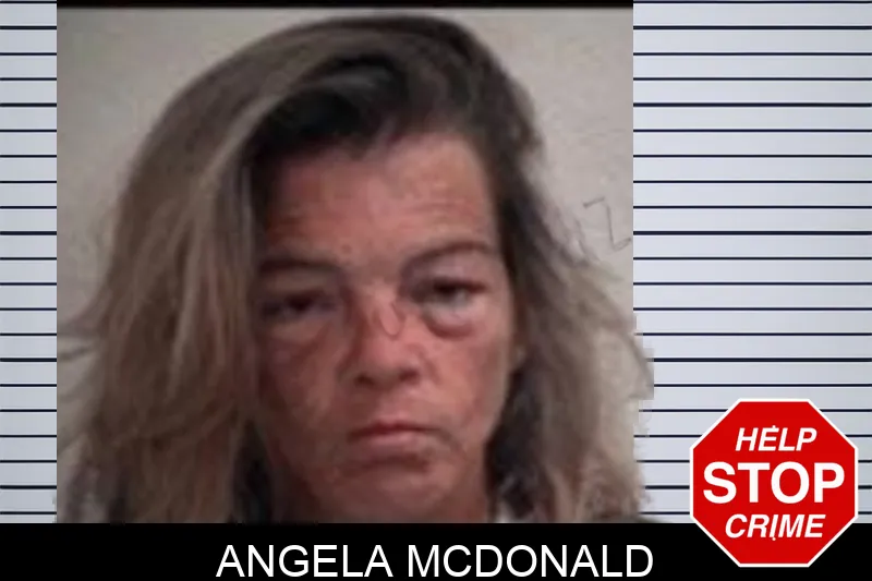 Angela McDonald mugshot – Henry County , Georgia Angela McDonald mugshot