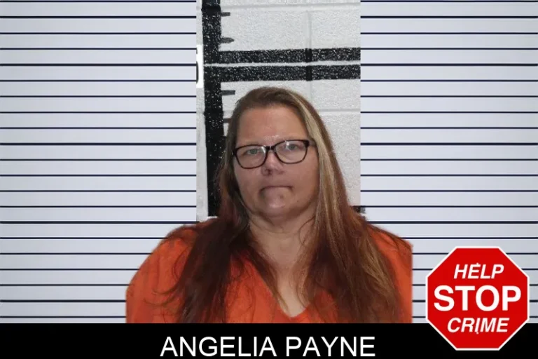 Angelia Payne mugshot – Murray County , Georgia Angelia Payne