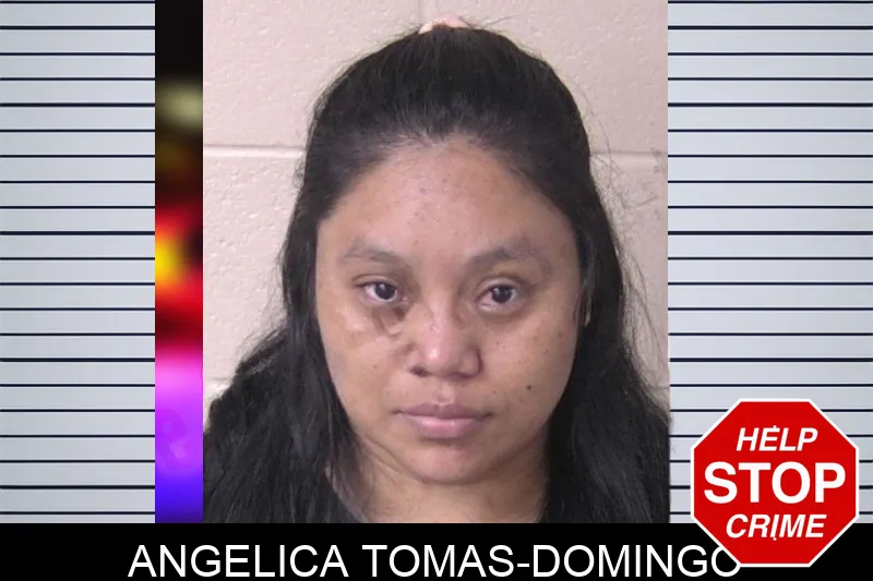 Angelica Tomas-Domingo mugshot