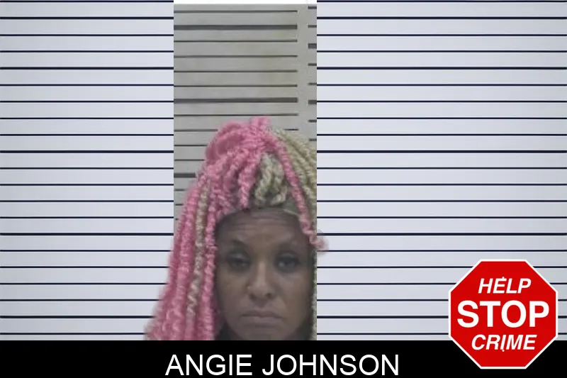 Angie Johnson Mugshots