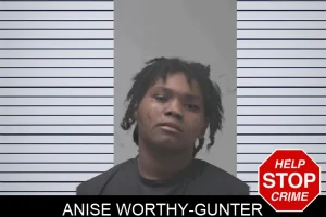 Anise Worthy-Gunter mugshot