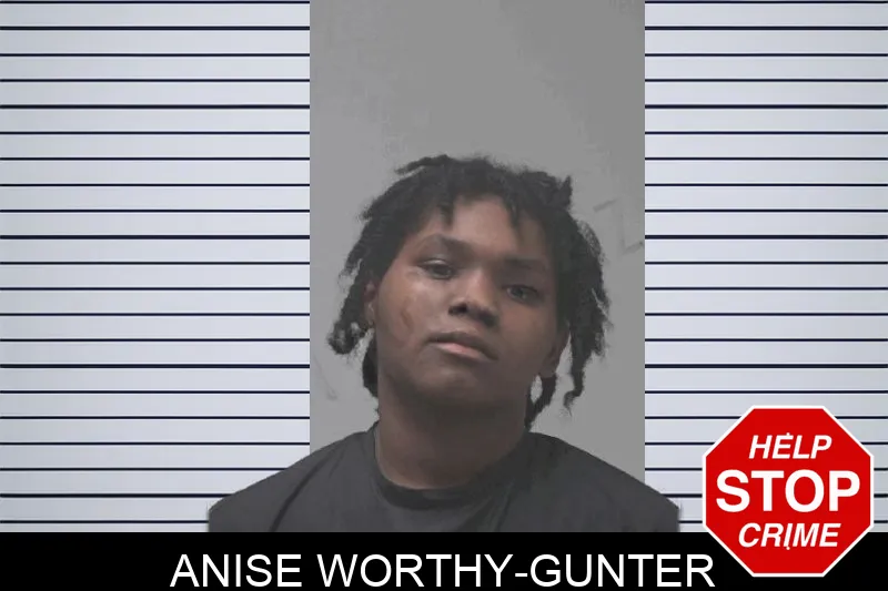 Anise Worthy-Gunter mugshot – Coweta County , Georgia Anise Worthy-Gunter mugshot