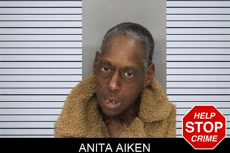 Anita Aiken Mugshots