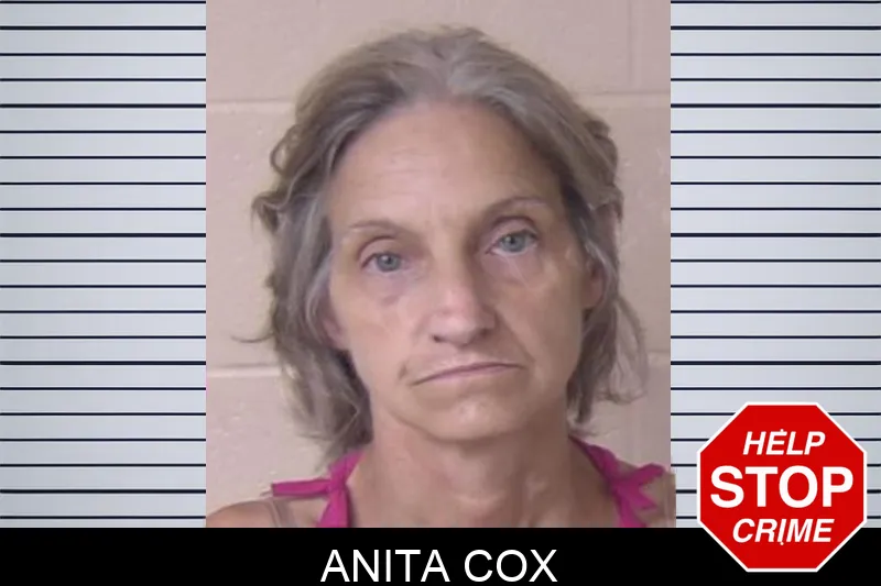 Anita Cox mugshot – Walker County , Georgia Anita Cox mugshot