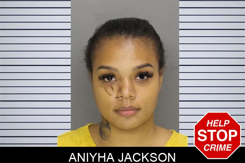 Aniyha Jackson mugshot – Cobb County , Georgia Aniyha Jackson mugshot