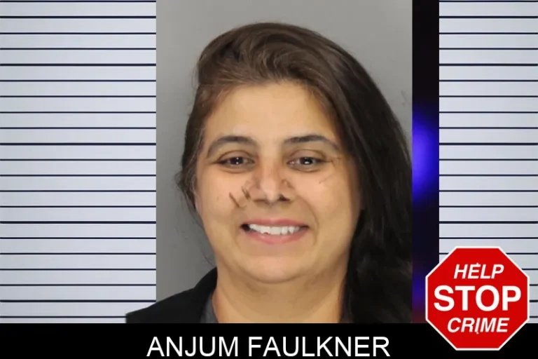 Anjum Faulkner