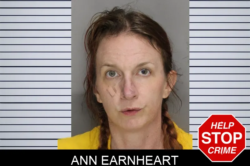 Ann Earnheart mugshot