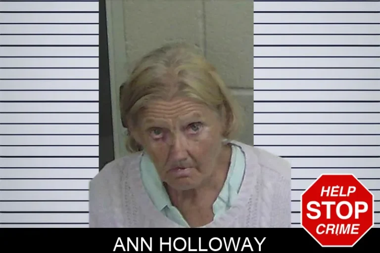 Ann Holloway