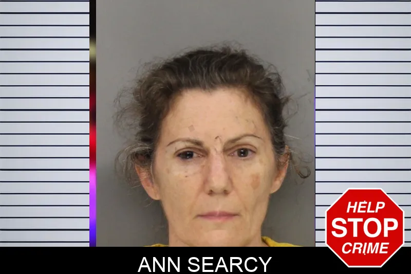 Ann Searcy mugshot