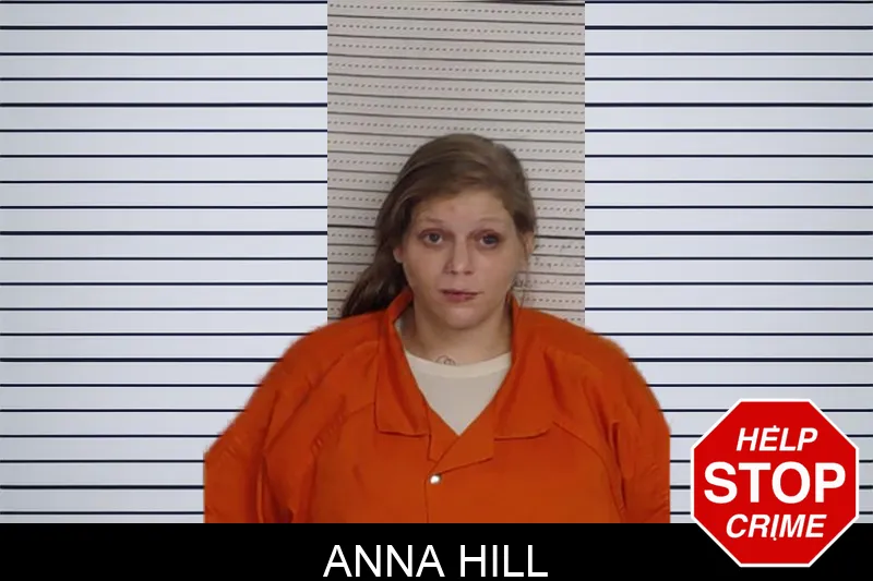 Anna Hill mugshot