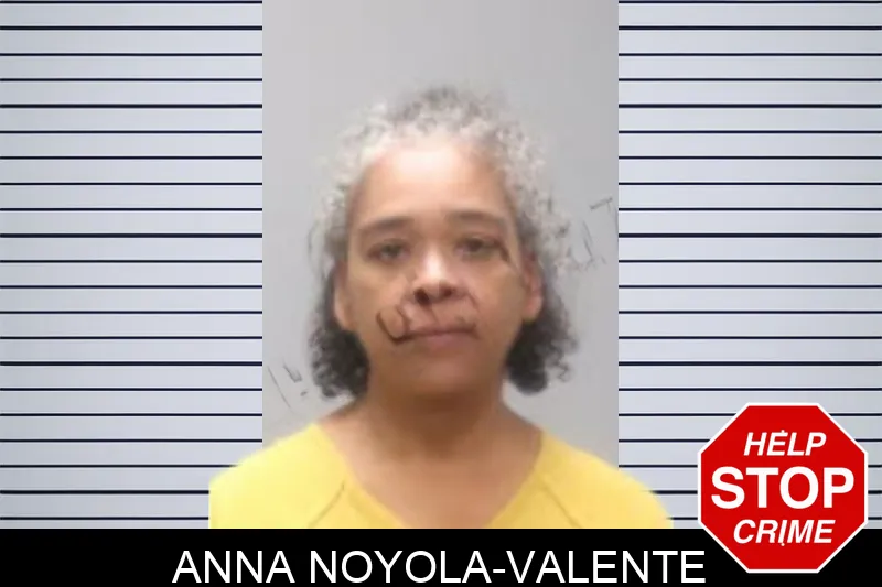Anna Noyola-Valente mugshot