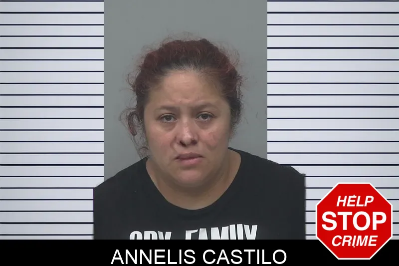 Annelis Castilo Mugshots