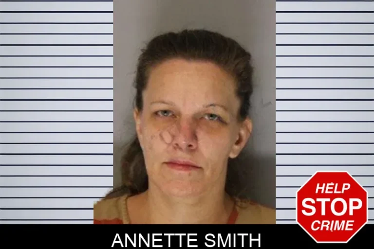 Annette Smith mugshot – Hall County , Georgia Annette Smith