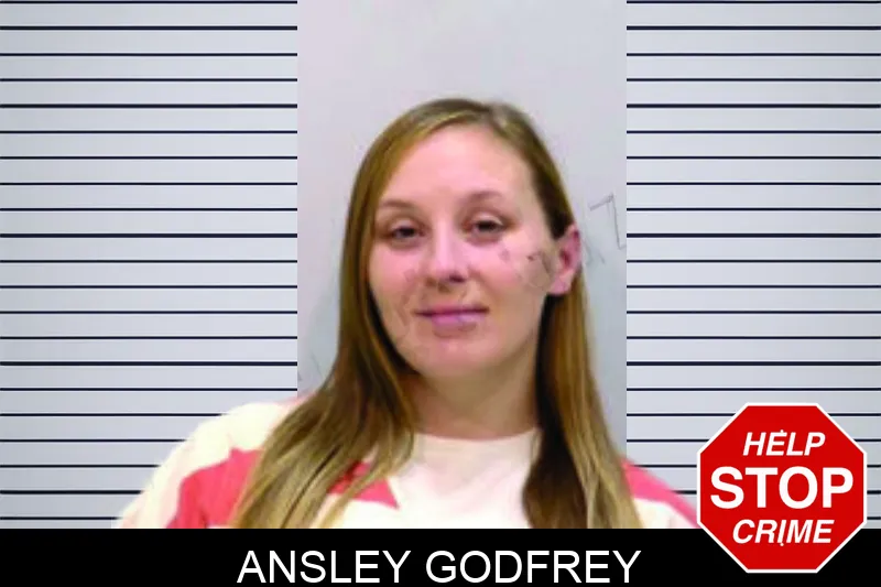 Ansley Godfrey mugshot