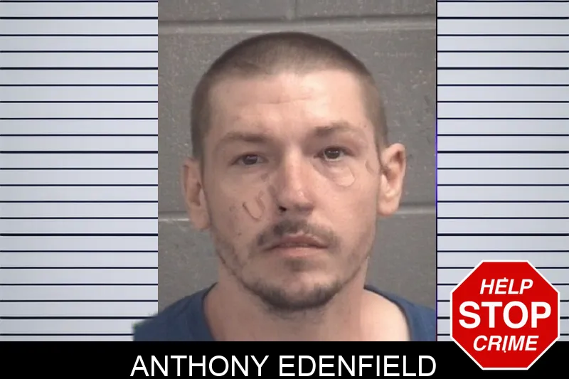Anthony Edenfield Mugshots