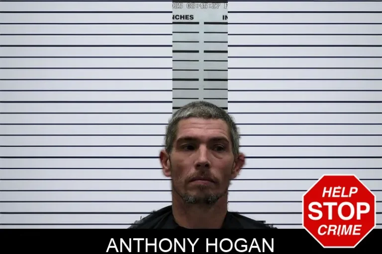 Anthony Hogan