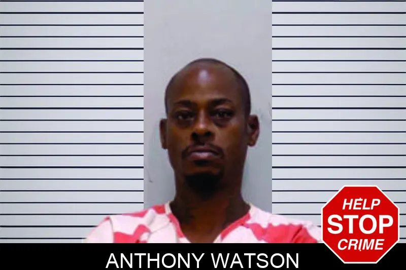 Anthony Watson mugshot – Bartow County , Georgia Anthony Watson mugshot