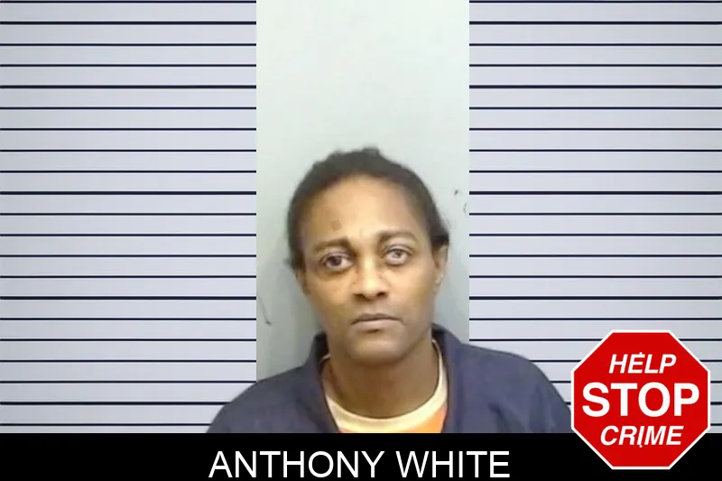 Anthony White Mugshots