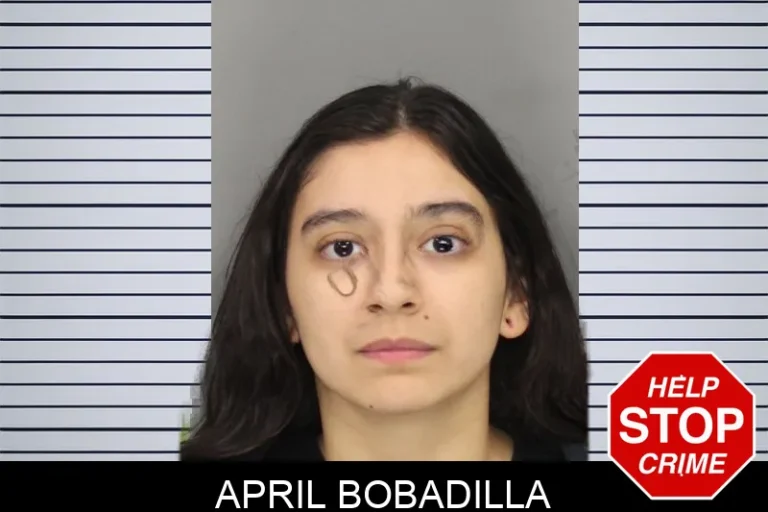 April Bobadilla mugshot – Cobb County , Georgia April Bobadilla