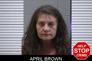 April Brown mugshot