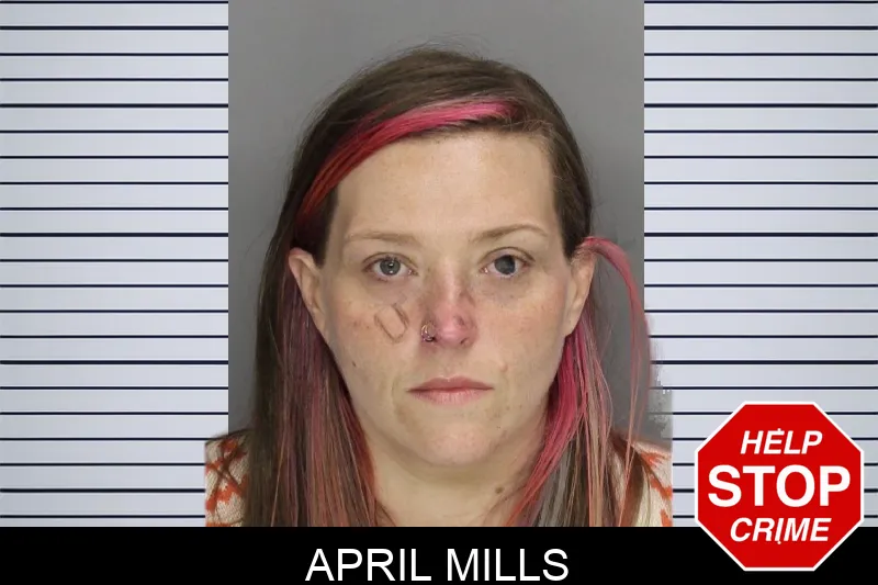 April Mills Mugshots