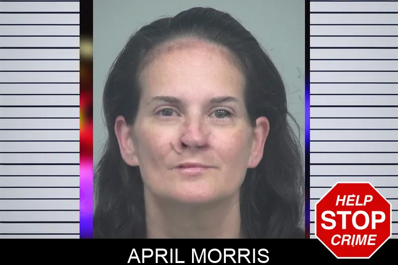 April Morris mugshot
