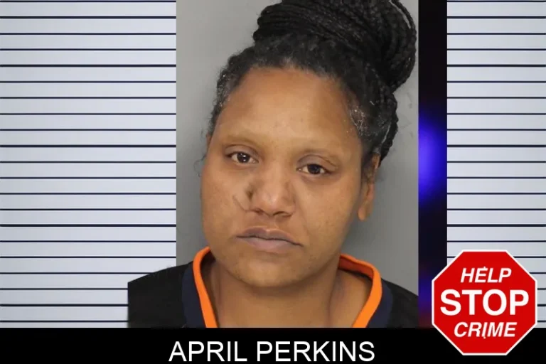 April Perkins mugshot – Cobb County , Georgia April Perkins