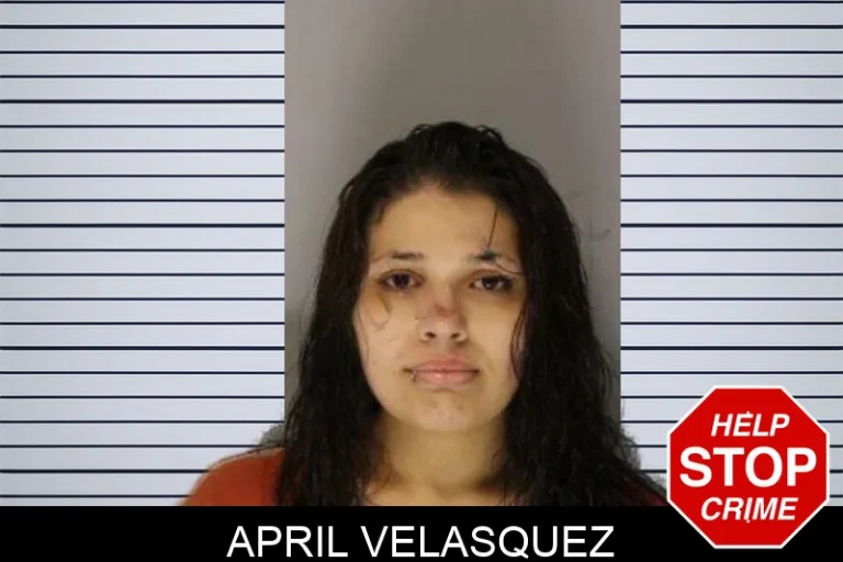April Velasquez mugshot – Hall County , Georgia April Velasquez