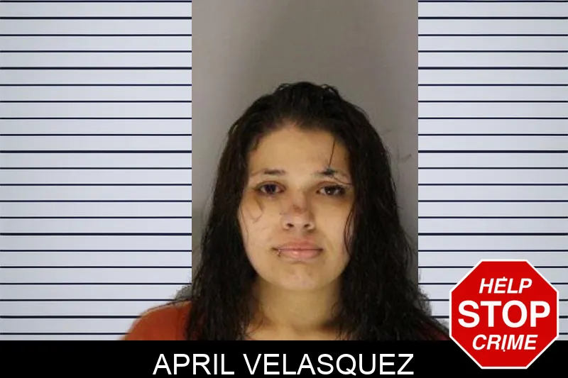 April Velasquez mugshot – Hall County , Georgia April Velasquez mugshot