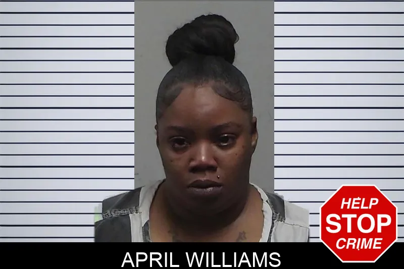 April Williams Mugshots